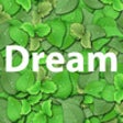 Icon of program: Dream: Free