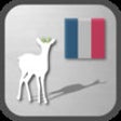 Icon of program: Decoder FRENCH (European)…