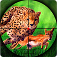 Icono de programa: Cheetah Hunter 2016