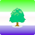 Icon of program: Learn Krio