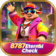 Icon of program: 8787Eternal Check