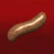 Icon of program: Sausage Party