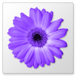 Icono de programa: Artweaver