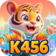 Icono de programa: K456Link