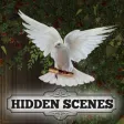 Icon of program: Hidden Scenes - Alleluia