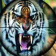 Icon of program: Hungry Wild Animals Safar…