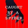 Icon of program: Caught by a Spider