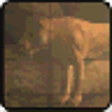 Icono de programa: Safari Hunter: African An…