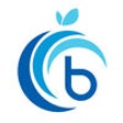 Icon of program: BerryTerminal