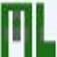 Icono de programa: MadLeets WPscan