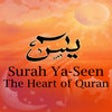 Icon of program: YaSeen - The Heart of Qur…