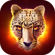 Icono de programa: The Cheetah
