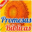 Icon of program: Promesas Biblicas en Imag…