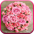 Icon of program: Wedding Wishes
