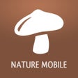 Icon of program: Mushrooms PRO - NATURE MO…