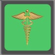 Icon of program: Medical Terminology and A…