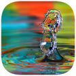 Icon of program: 651 Words