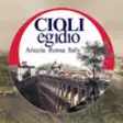 Icon of program: Cioli Egidio S.r.l.