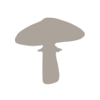 Icon of program: NWF Guide to Mushrooms
