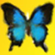 Icono de programa: InspirARTion for windows …