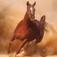 Icon of program: Horse Run