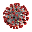 Icon of program: Corona virus