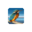 Icon of program: Highlight