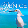 Venice Gulf Coast Living Magazine icon