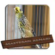 Icon of program: Mp3 Masteran Kenari Full …