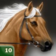 Icon of program: My Horse Life Story Quiz …