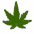 Icono de programa: HD MaryJane Journal