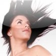 Icon of program: Alexandersen Photo - Free…