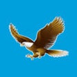 Icon of program: ZAMBIA DAILY MAIL