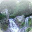 Icon of program: Rainforest Ambience