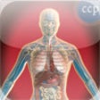 Icon of program: Circulatory, Digestive & …
