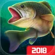 Icon of program: Real Reel Fishing Simulat…