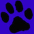 Icon of program: Kitten Quad