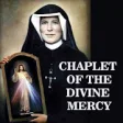 Icon of program: Chaplet Of The Divine Mer…