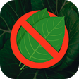 Icon of program: Quit Kratom