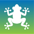 Icon of program: Bermuda Tree Frog