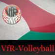 Icon of program: Volleyball - Vfr Borgentr…
