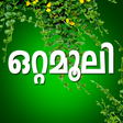 Icon of program: Ottamoolikal Malayalam