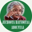 Icon of program: Jechoota Hayyoota Addunya…