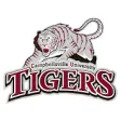 Icon of program: Campbellsville Tigers (Ea…