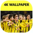 Icon of program: Wallpaper Dortmund - Dort…