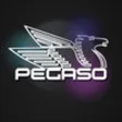 Icon of program: Pegaso Plus