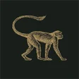 Icono de programa: Mowgli Club Rewards