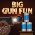 Icon of program: Big Gun Fun