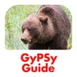 Icon of program: Canadian Rockies GyPSy Gu…