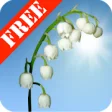 Icon of program: Lily of the Valley Free